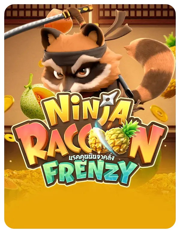 Ninja Raccoon Frenzy